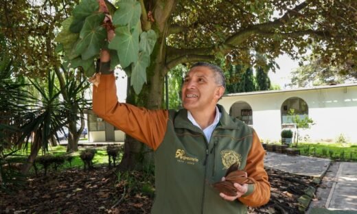 UAEMéx protege el Árbol de las Manitas