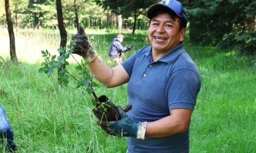 Toluqueños impulsan la visión verde de Ricardo Morenoo con la siembra de 15 mil árboles