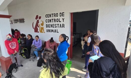 Impulso histórico al bienestar animal en Toluca con Extensión Norte